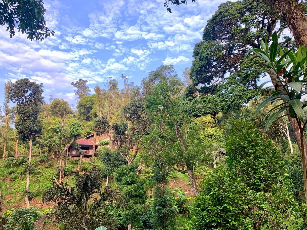 Villa Serene Woods à Madikeri Extérieur photo